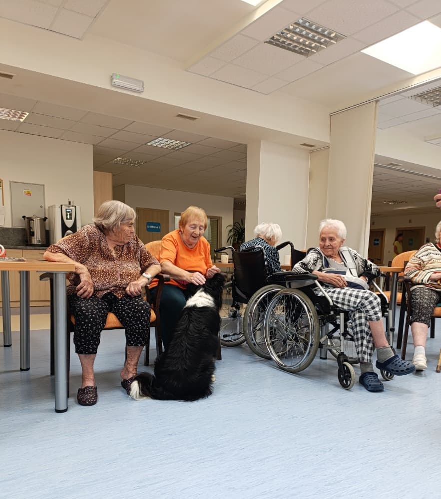 Dixie jako součást cílené aktivizace v péči o seniory🐾 0