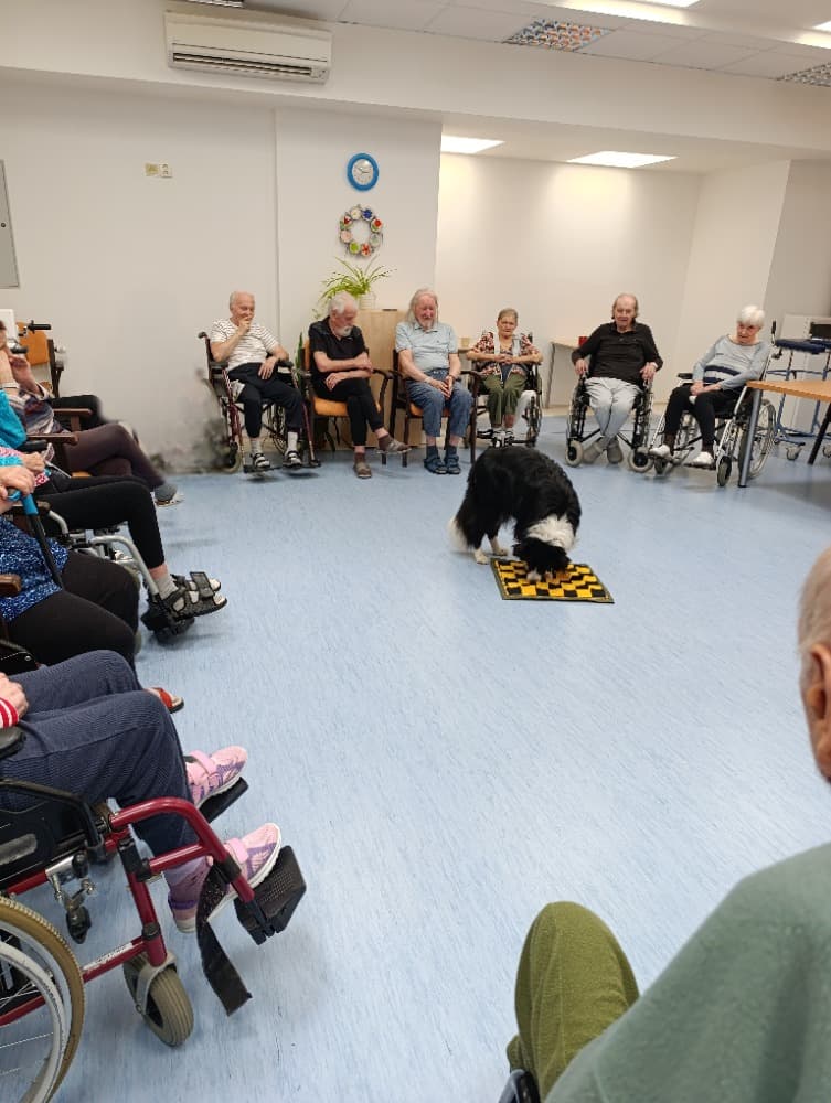 Dixie jako součást cílené aktivizace v péči o seniory🐾 1