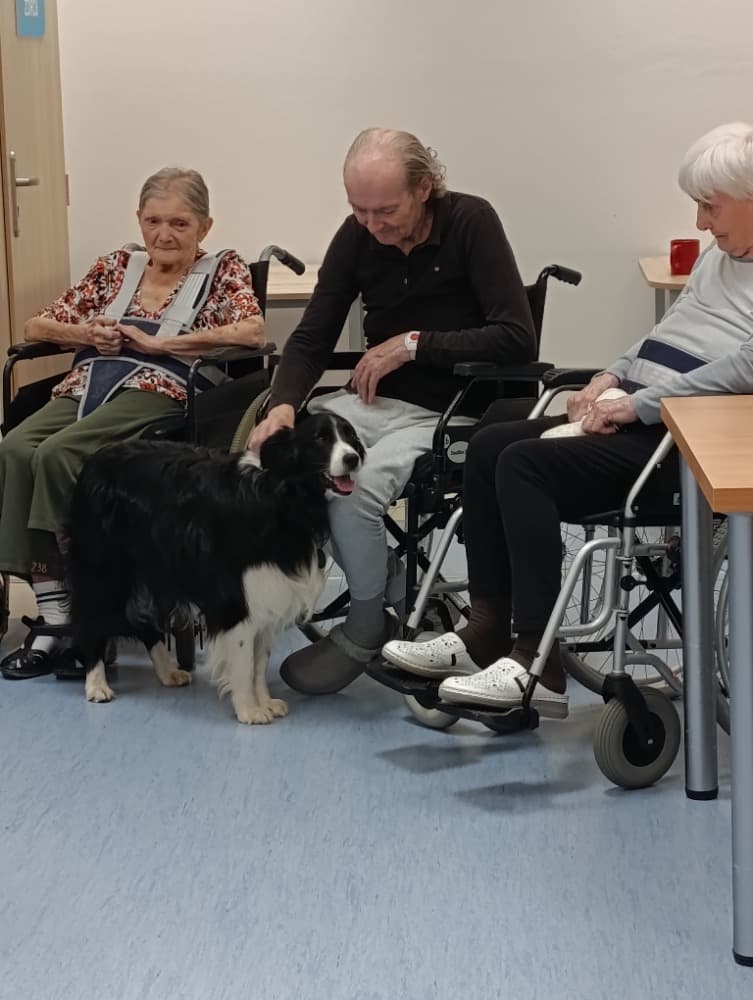 Dixie jako součást cílené aktivizace v péči o seniory🐾 4