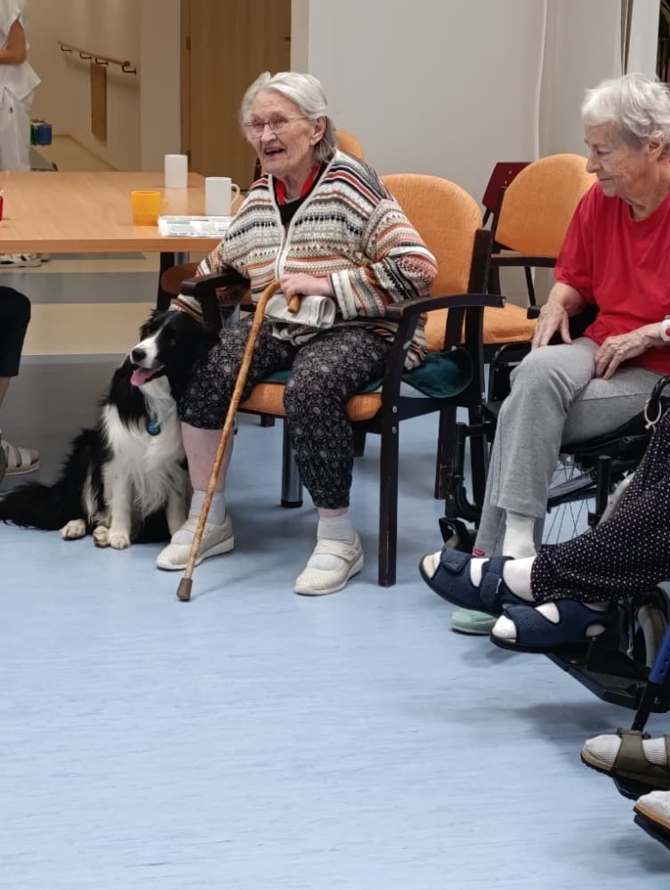 Dixie jako součást cílené aktivizace v péči o seniory🐾 5