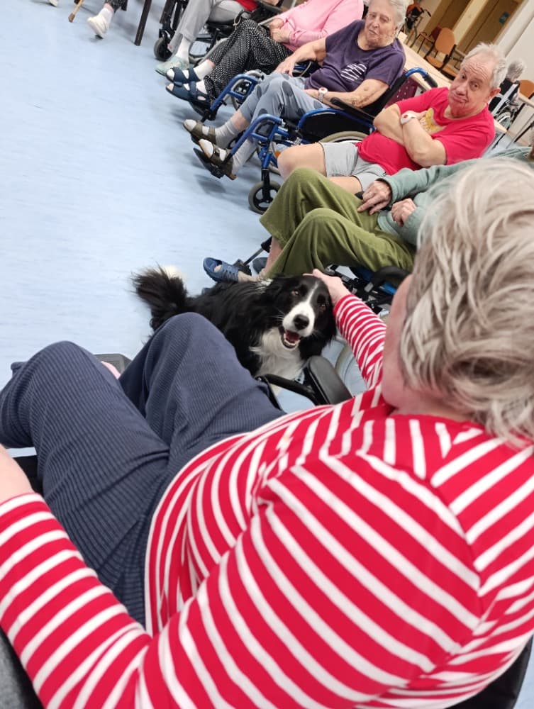 Dixie jako součást cílené aktivizace v péči o seniory🐾 6