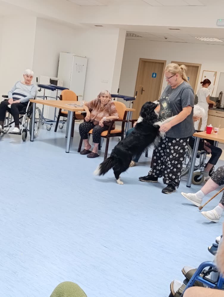 Dixie jako součást cílené aktivizace v péči o seniory🐾 7
