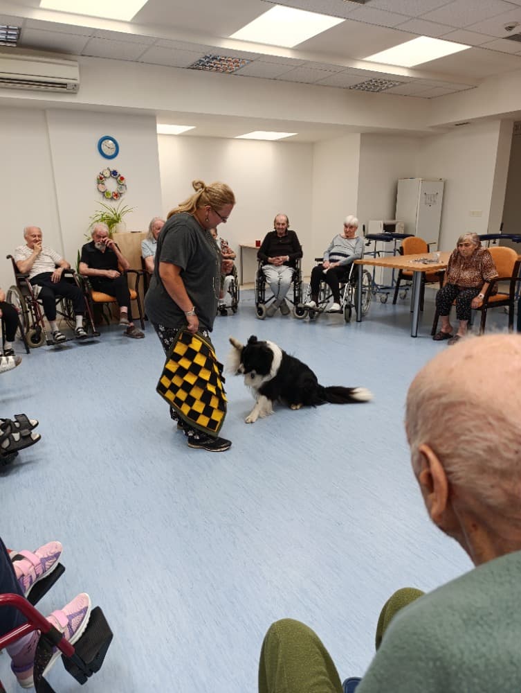 Dixie jako součást cílené aktivizace v péči o seniory🐾 9
