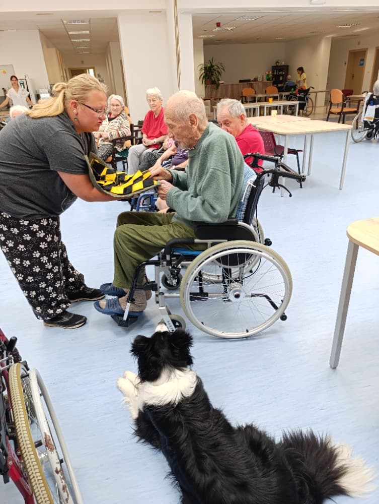 Dixie jako součást cílené aktivizace v péči o seniory🐾 10