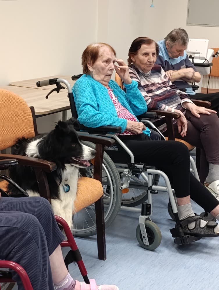 Dixie jako součást cílené aktivizace v péči o seniory🐾 11