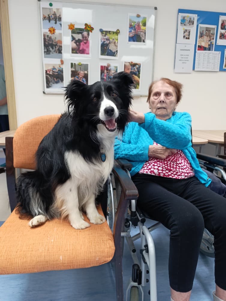 Dixie jako součást cílené aktivizace v péči o seniory🐾 12