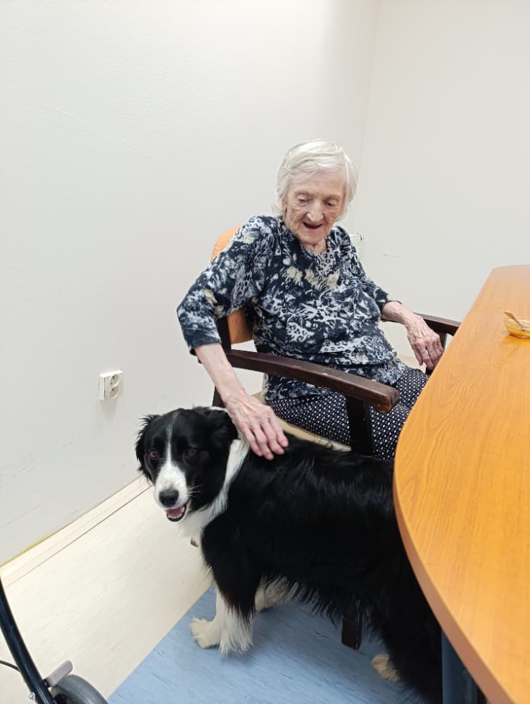 Dixie jako součást cílené aktivizace v péči o seniory🐾 13