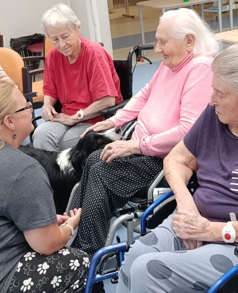 Dixie jako součást cílené aktivizace v péči o seniory🐾 15