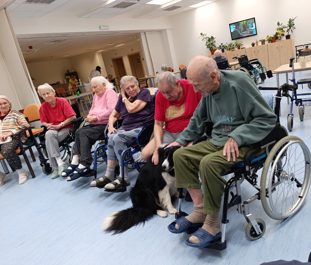 Dixie jako součást cílené aktivizace v péči o seniory🐾 16