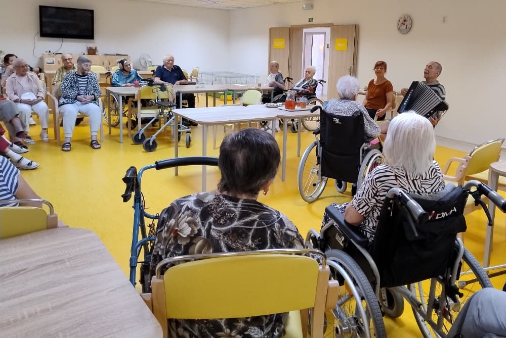 🎶Hudební dopoledne s harmonikou🎶 1