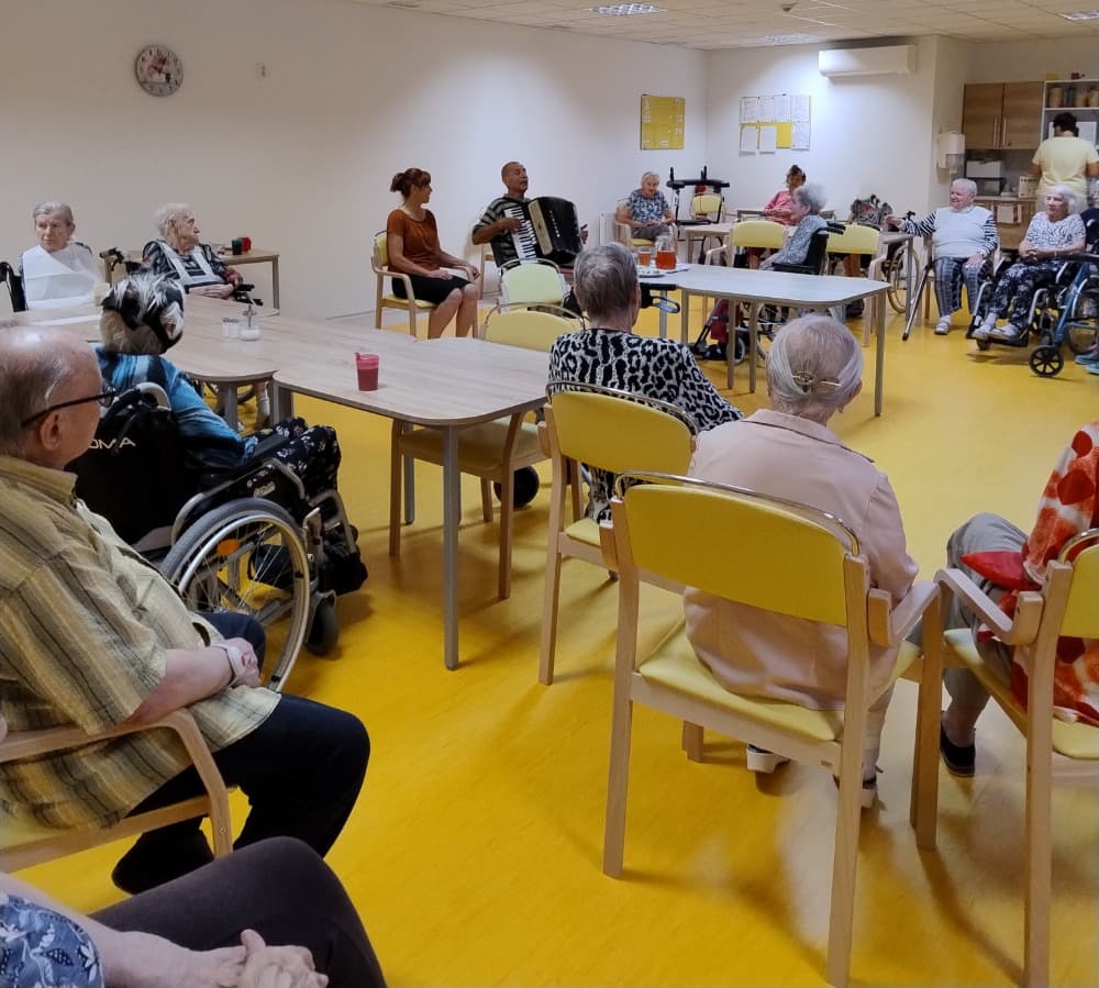 🎶Hudební dopoledne s harmonikou🎶 8