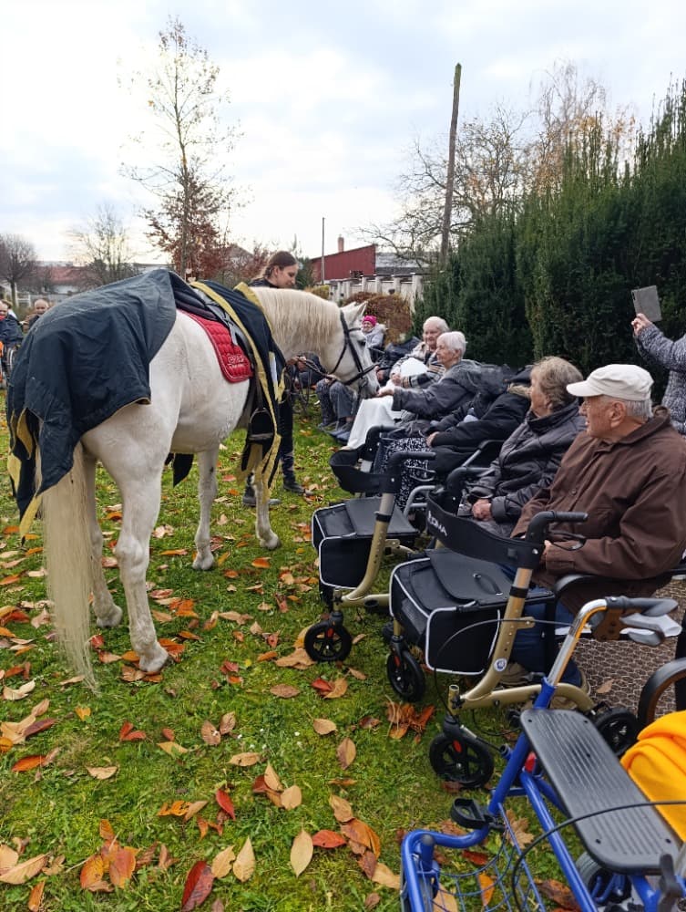 Svatý Martin🗡️ 9