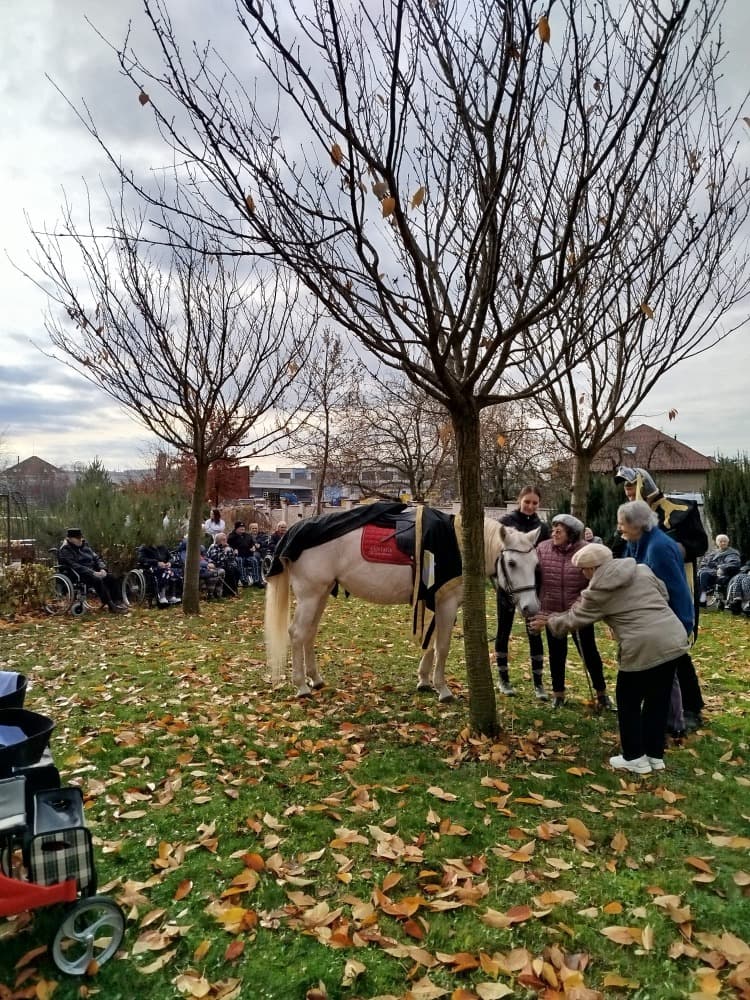 Svatý Martin🗡️ 15