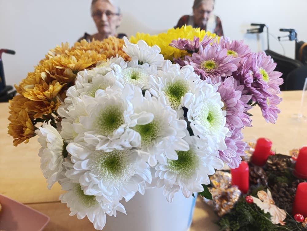 NAROZENINY - prosinec 6