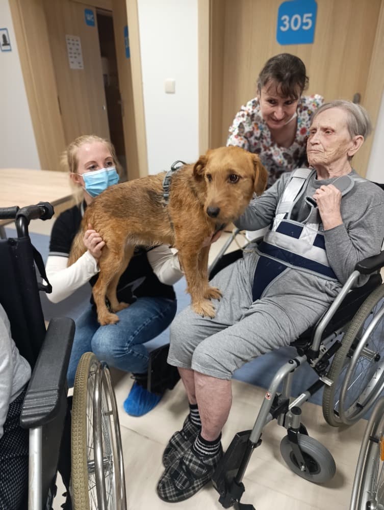 🐾Návštěva Vendy a Charryho 🐾 5