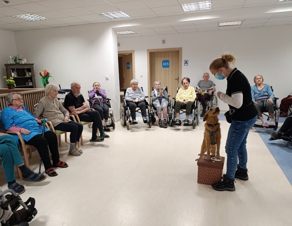 🐾Návštěva Vendy a Charryho 🐾 10