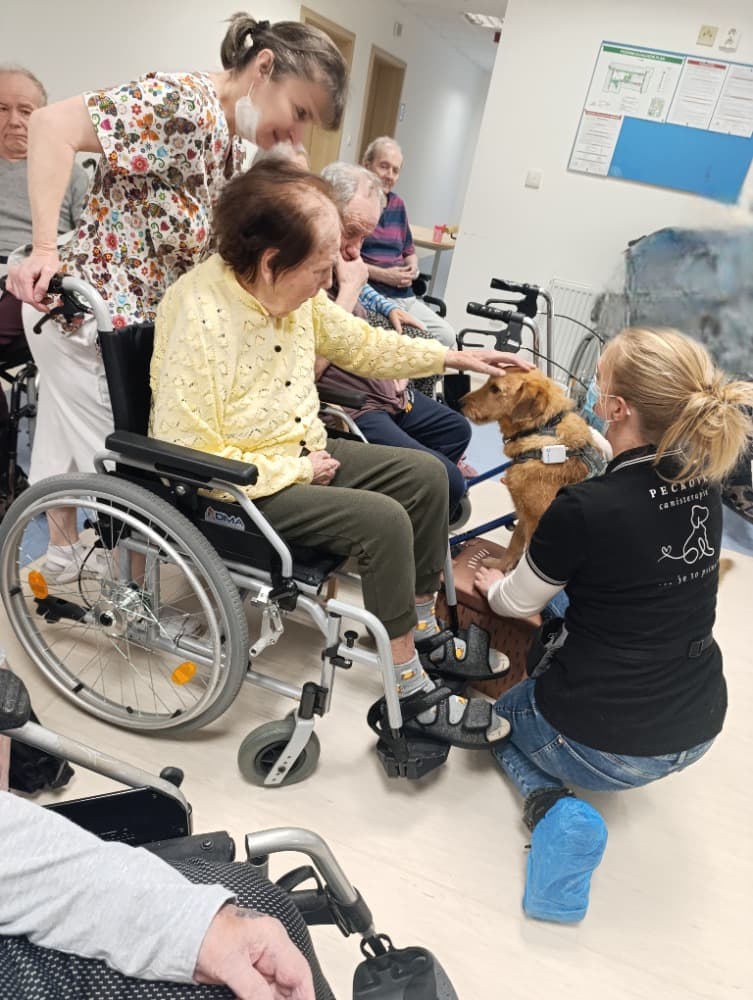 🐾Návštěva Vendy a Charryho 🐾 12