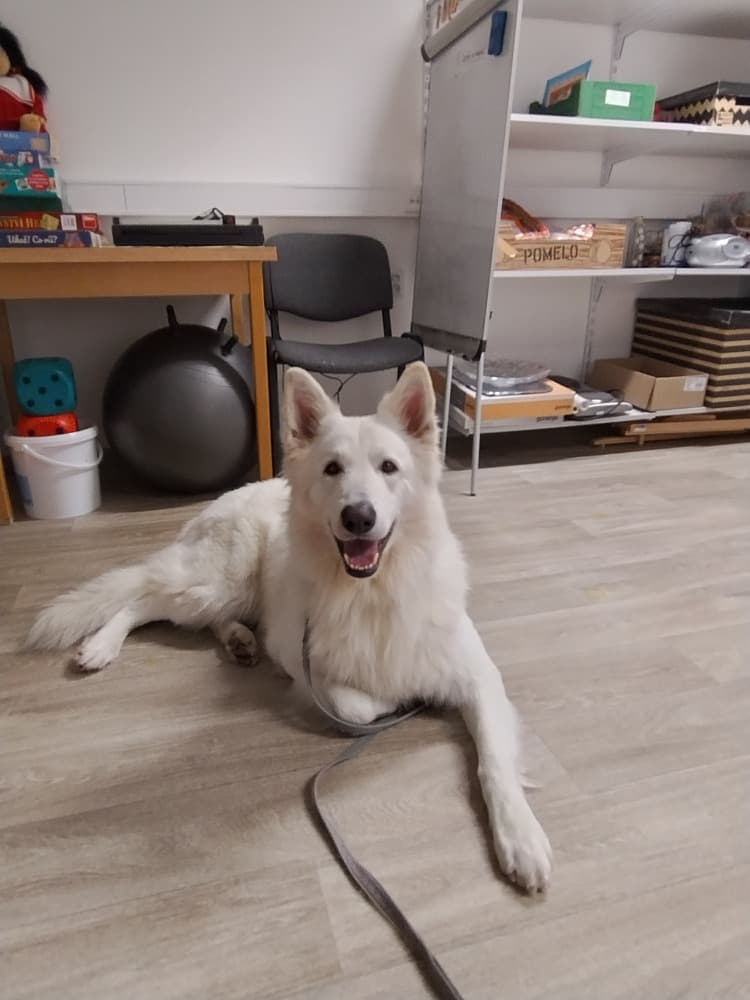 🐾Návštěva Vendy a Charryho 🐾 25