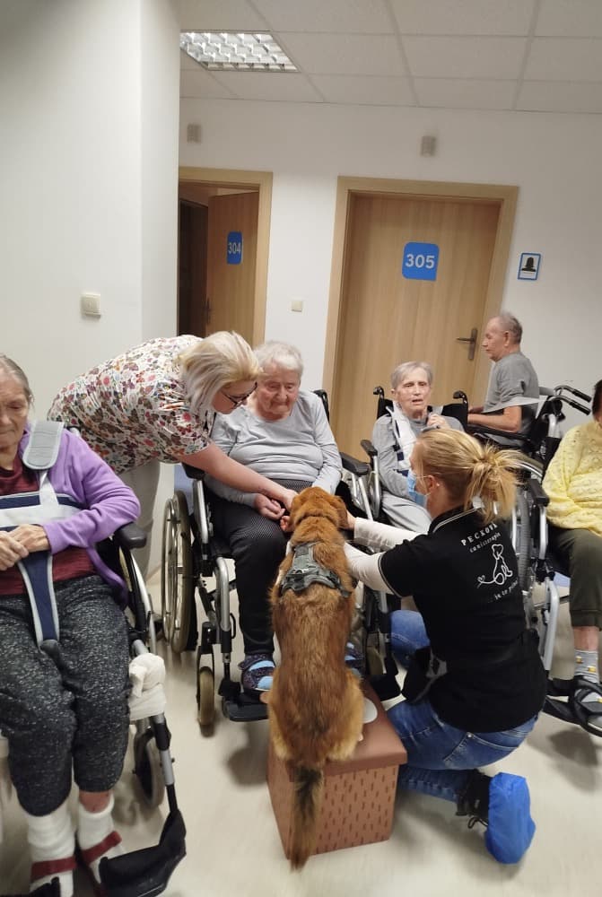 🐾Návštěva Vendy a Charryho 🐾 27